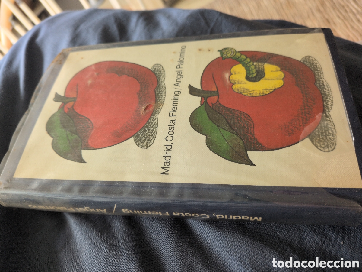 Libros de segunda mano: Madrid, Costa Fleming. &Aacute;ngel Palomino