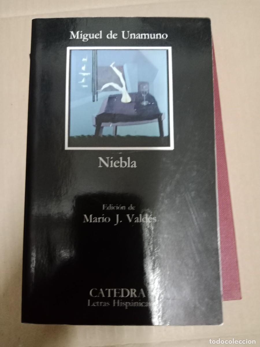 Libros de segunda mano: MIGUEL UNANUMO NIEBLA CATEDRA LIBRO E-SAN