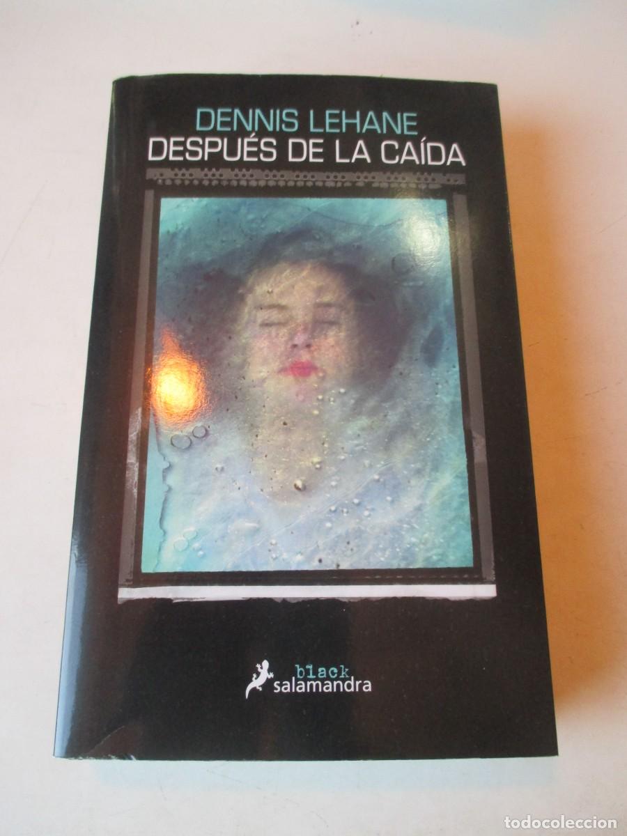 Libri di seconda mano: DENNIS LEHANE Despu&eacute;s de la ca&iacute;da W42482