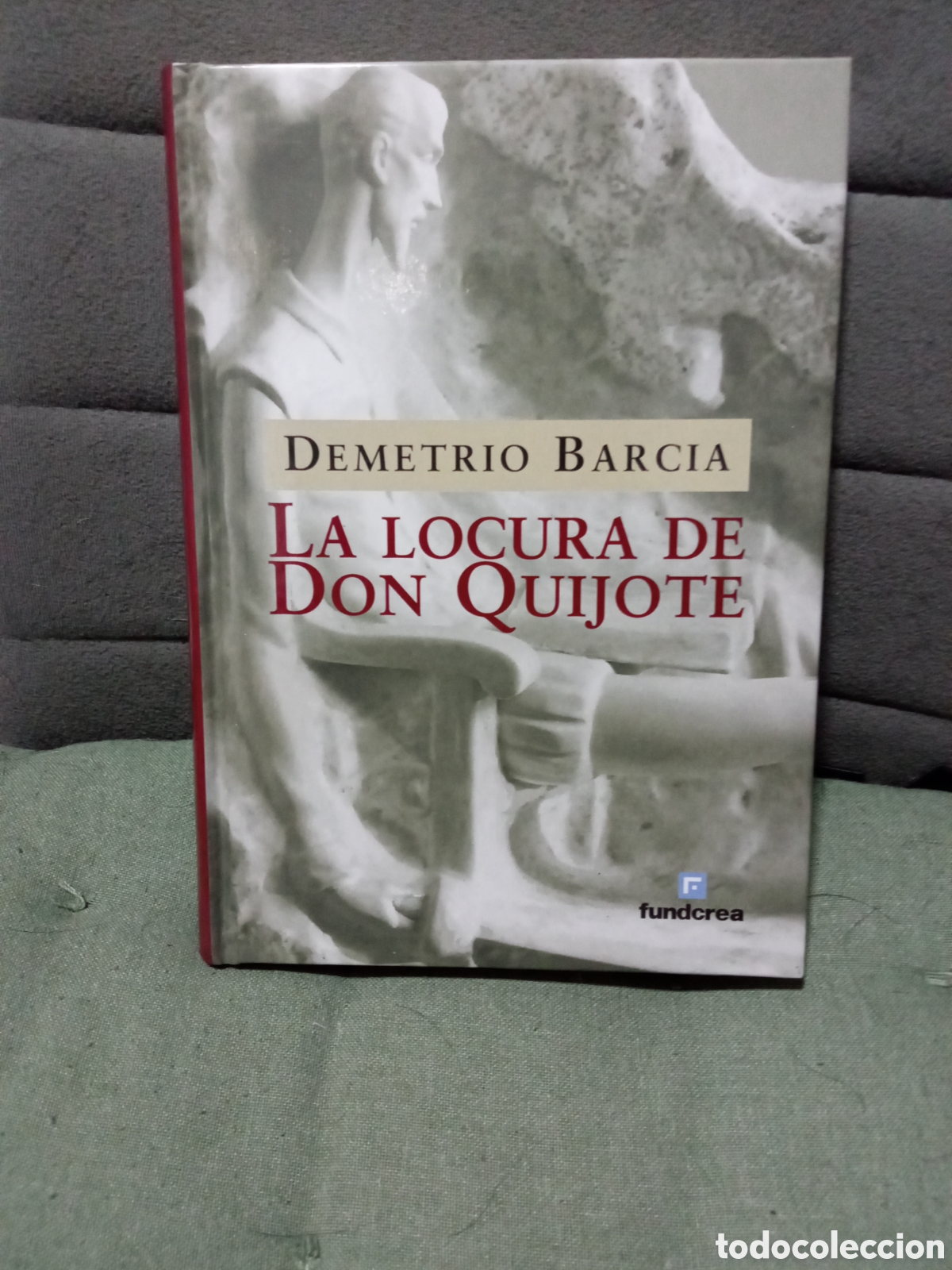 Libros de segunda mano: Libro la locura de don quijote Demetrio Barcia ( descatalogado
