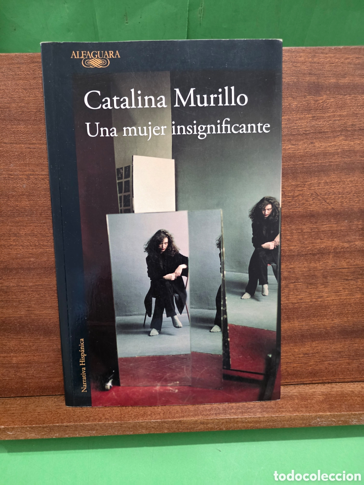 Libri di seconda mano: CATALINA MURILLO...&rdquo;&rdquo;UNA MUJER INSIGNIFICANTE&rdquo;&rdquo;...ALFAGUARA...2024...
