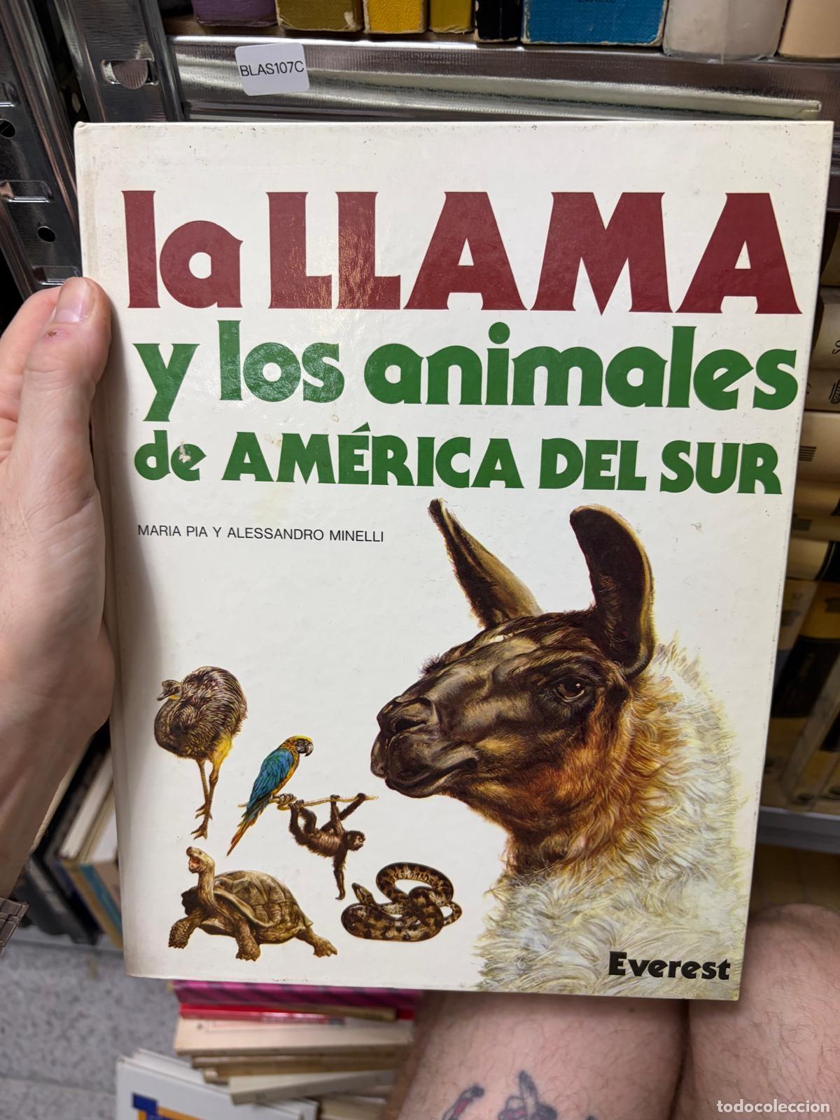 Libri di seconda mano: BLAS107C Maria Pia y A. Minelli La llama y animales de Am&eacute;rica del Sur