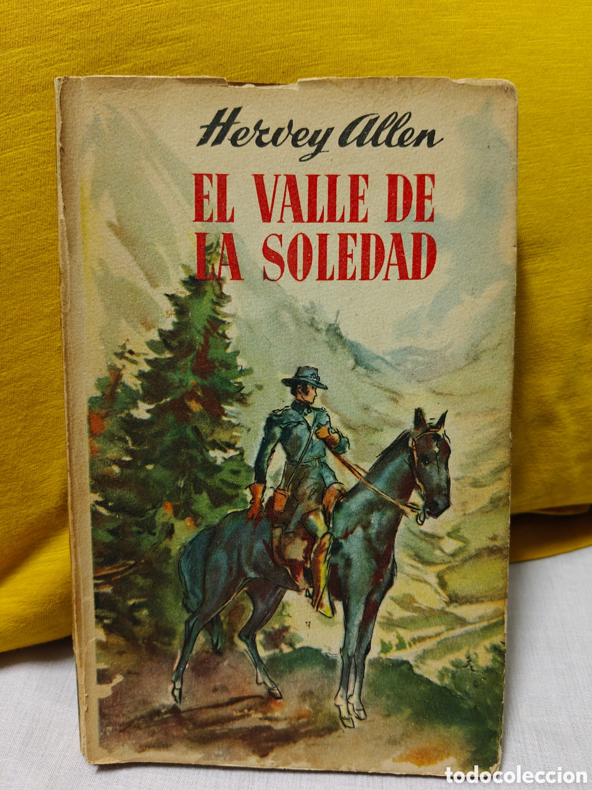 Gebrauchte B&uuml;cher: El valle de la soledad, Hervey Allen
