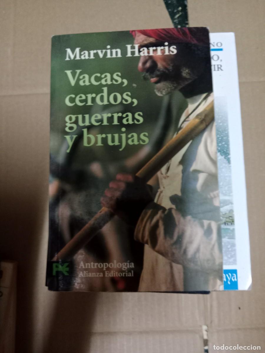 Libri di seconda mano: VACAS, CERDOS, GUERRAS Y BRUJAS. MARVIN HARRIS LIBRO TOP-03