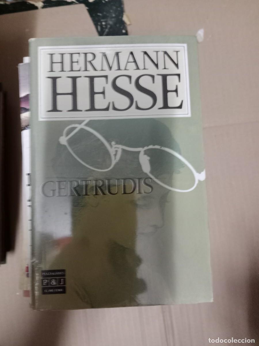 Libros de segunda mano: HERMANN HESSE GERTRUDIS LIBRO TOP-15