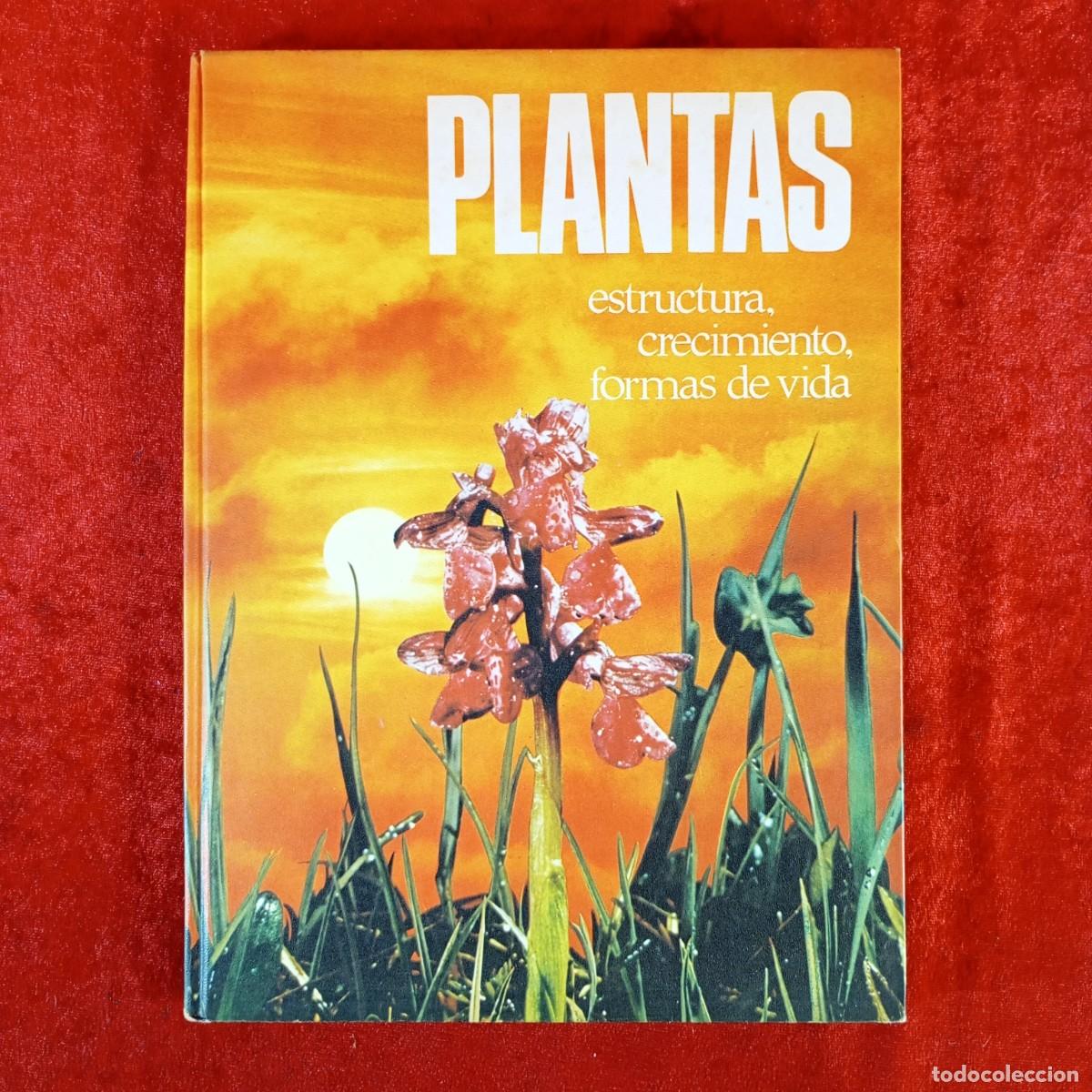 Second hand books: PLANTAS - ESTRUCTURA, CRECIMIENTO, FORMAS DE VIDA - C&Iacute;RCULO DE LECTORES / 1001