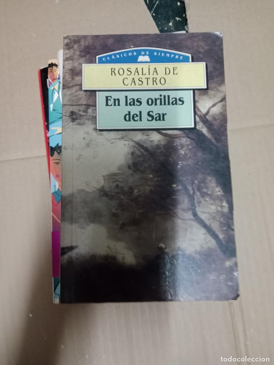 Libri di seconda mano: EN LAS ORILLAS DEL SAR ROSALIA DE CASTRO LIBRO TOP-08