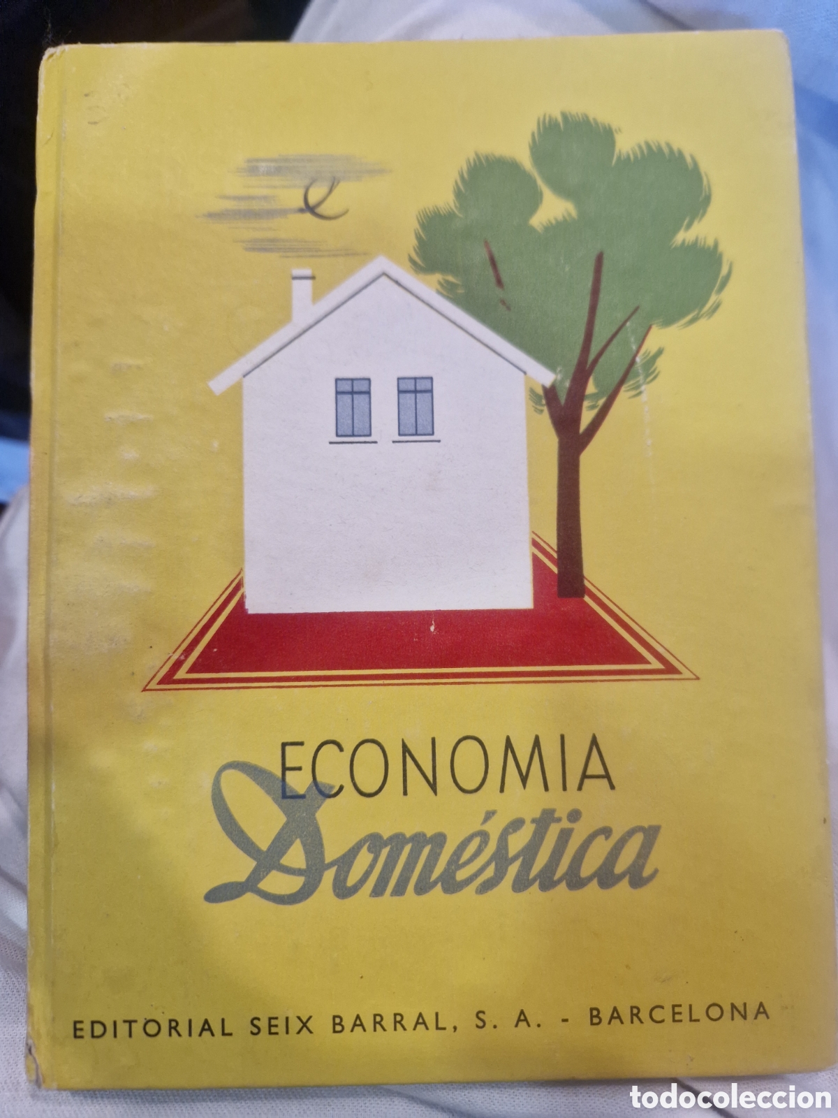 Libri di seconda mano: ESTRADA, Adelina B. Econom&iacute;a dom&eacute;stica
