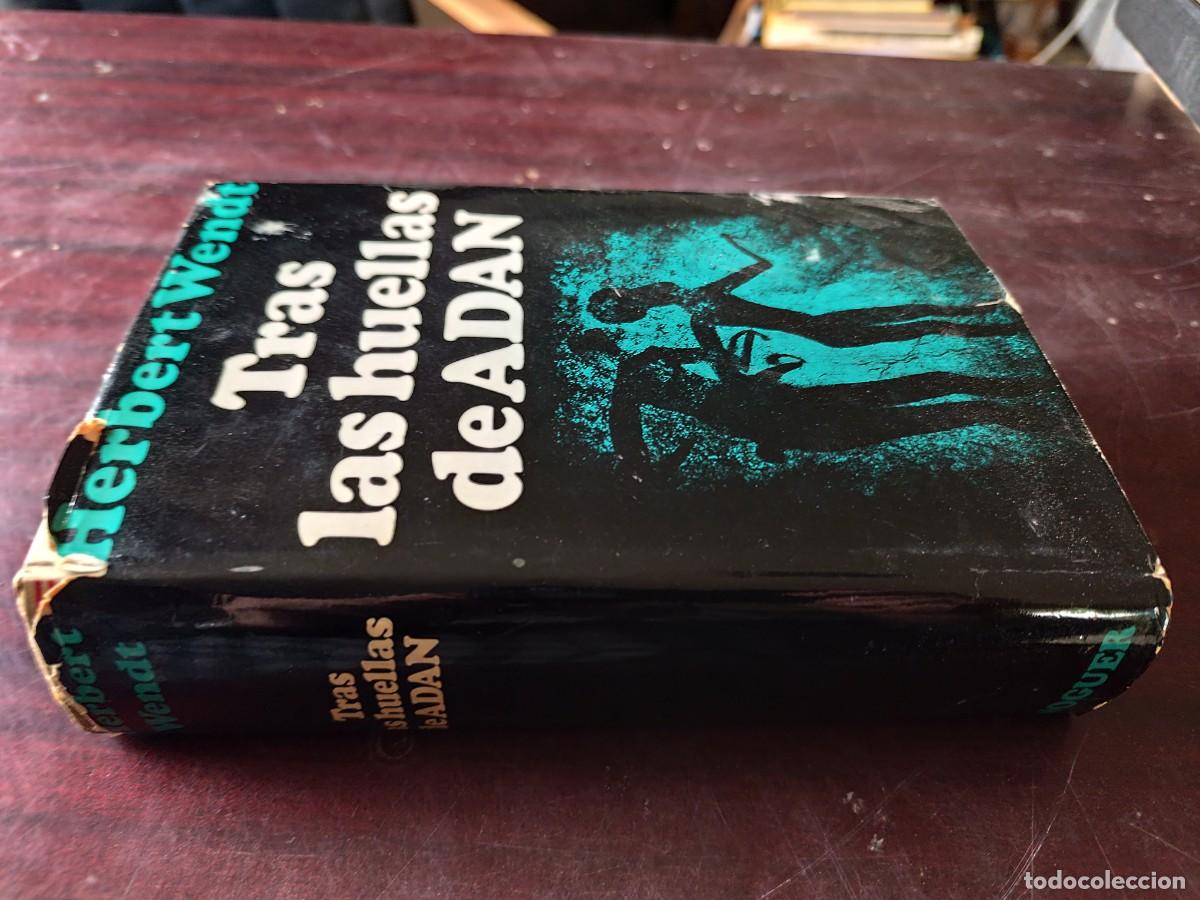 Libri di seconda mano: TRAS LAS HUELLAS DE ADAN / HERBERT WENDT / CJA 609 / NOGUER