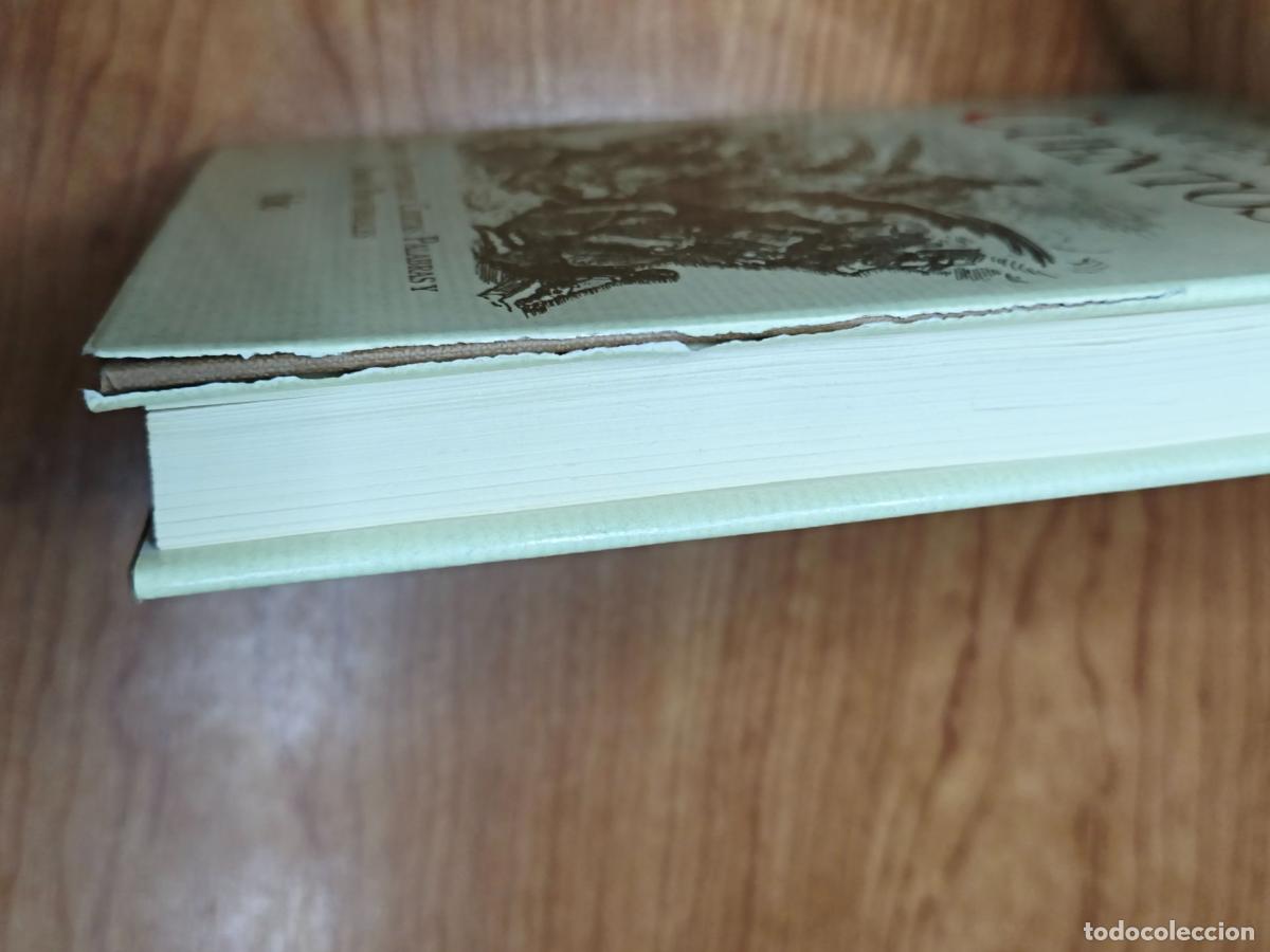 Libros de segunda mano: Cuento de Cuentos - N&eacute;stor Luj&aacute;n - Folio - Foto 2