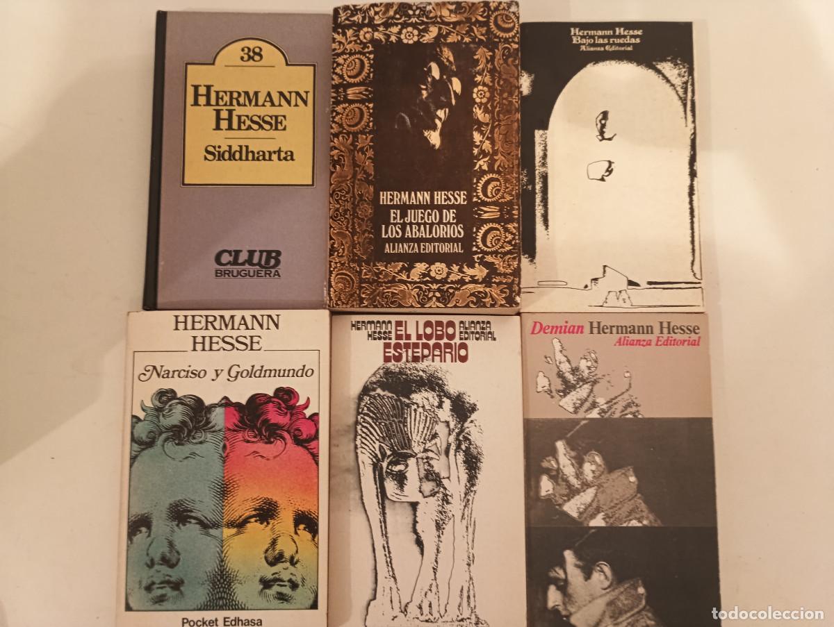 Livros em segunda m&atilde;o: Lote INDIVISIBLE 6 Libros Hermann Hesse - Siddharta, El Lobo Estepario, Demian...