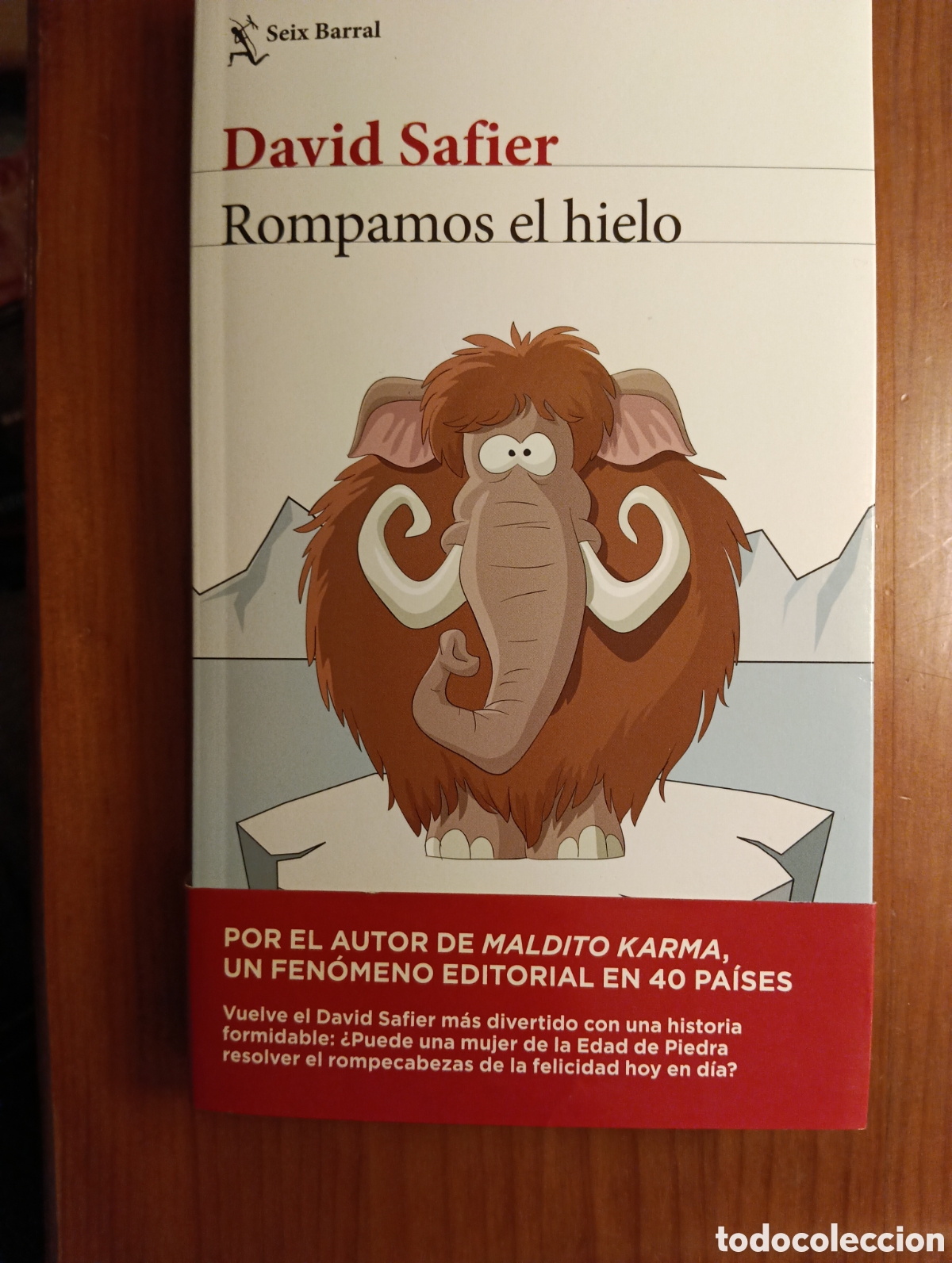 Libros de segunda mano: Rompamos el hielo, David Safier, Editorial Seix Barral