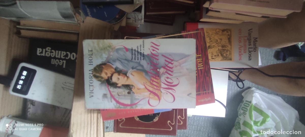 Libros de segunda mano: Ambici&oacute;n mortal. Victoria holt. Javier Vergara