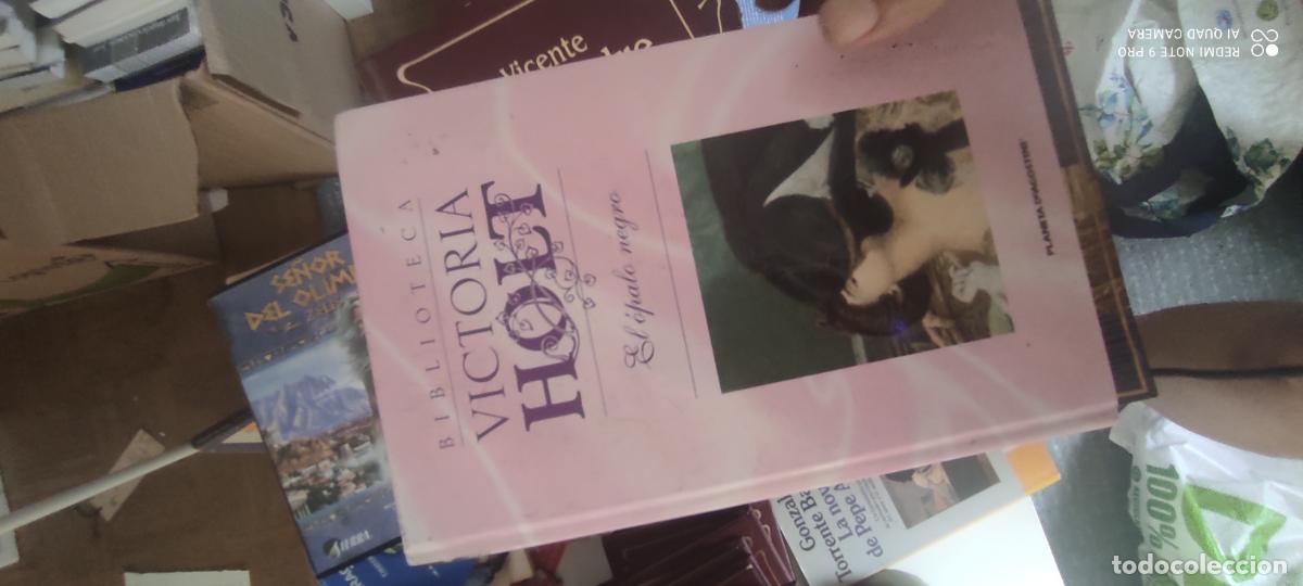 Libros de segunda mano: El &oacute;palo negro. Victoria Holt