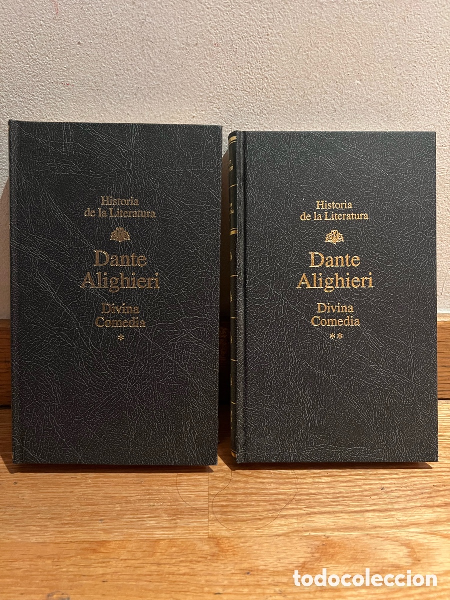 Libros de segunda mano: Historia de la Literatura Dante Alighieri Divina Comedia tomos I y II