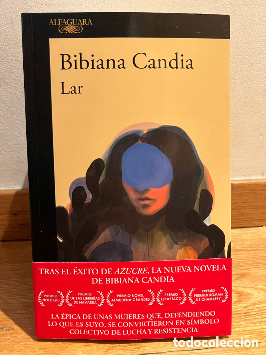 Libros de segunda mano: Bibiana Candia Lar Alfaguara
