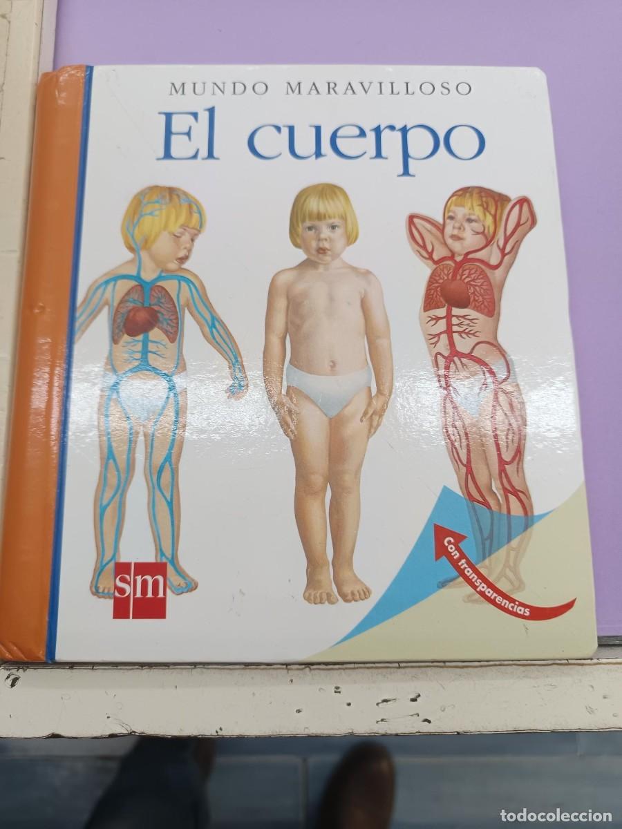 Libros de segunda mano: EL CUERPO COLECCION MUNDO MARAVILLOSO EDICIONES S.M.