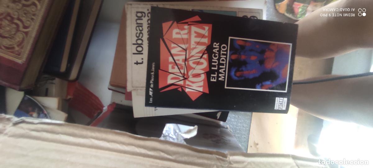 Libros de segunda mano: EL LUGAR MALDITO / DEAN R KOONTZ