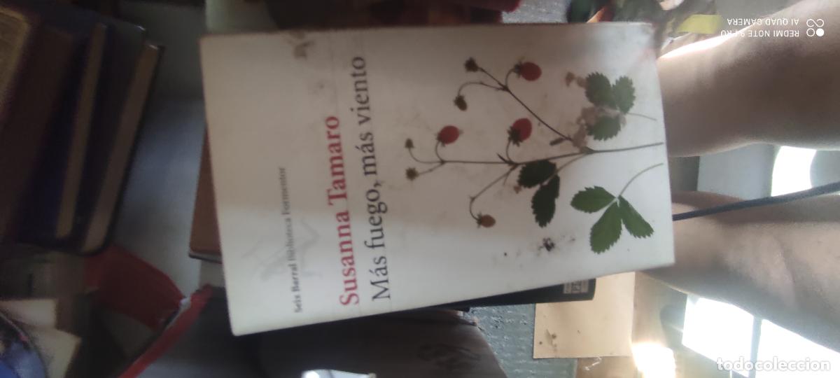 Libros de segunda mano: MAS FUEGO, MAS VIENTO -- SUSANNA TAMARO -- SEIX BARRAL 2003 --