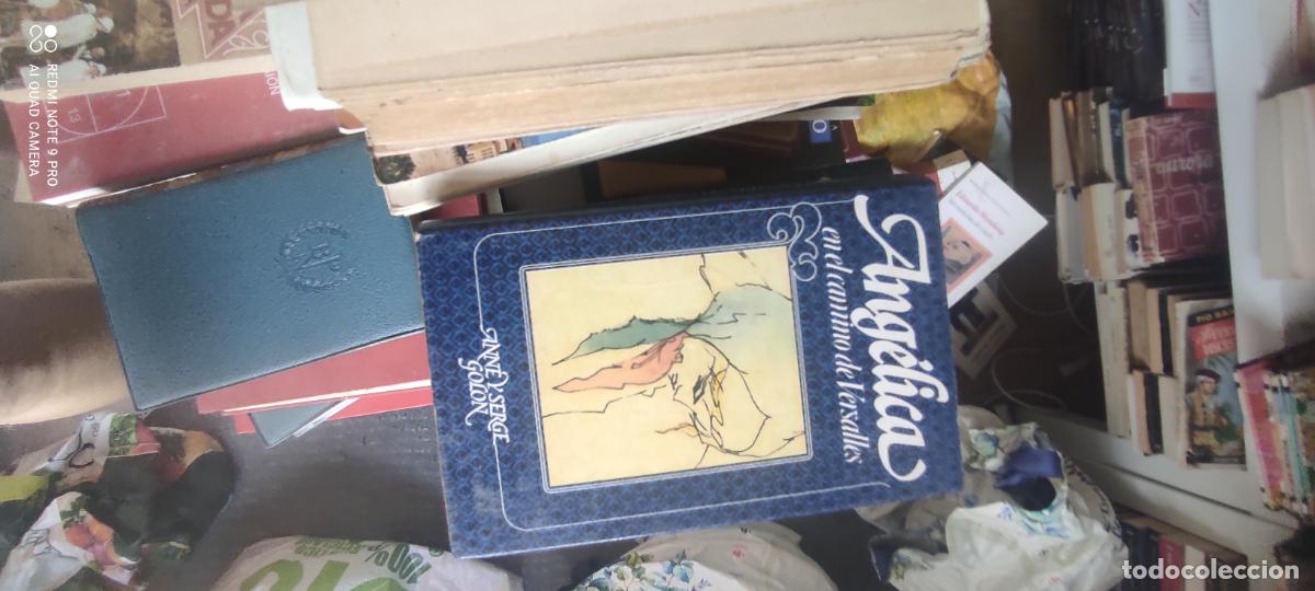 Libros de segunda mano: Ang&eacute;lica en el camino de Versalles. Anne y Serge Golon