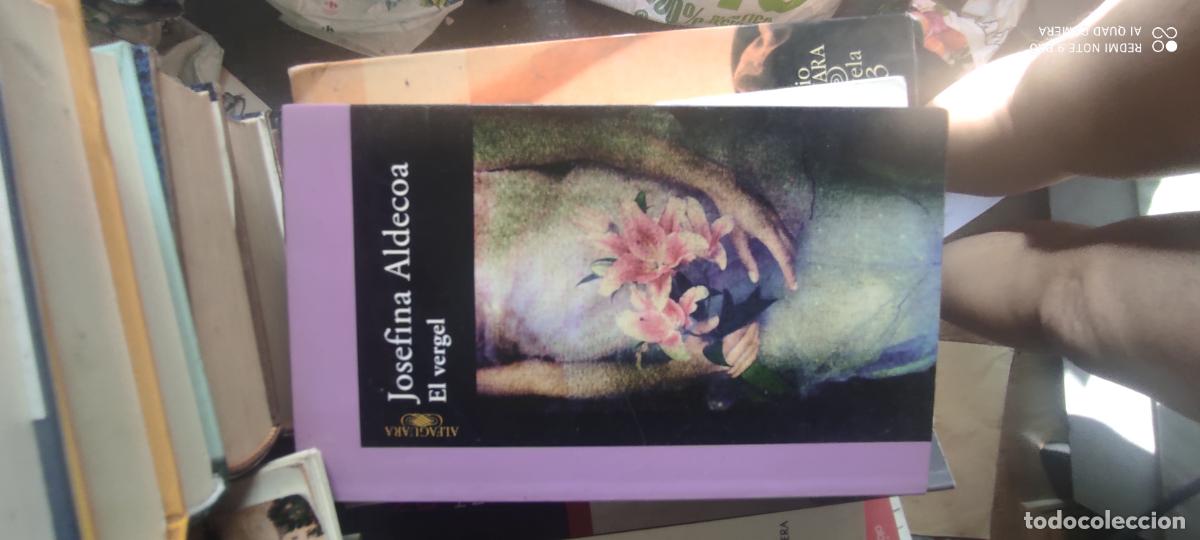 Libros de segunda mano: EL VERGEL (JOSEFINA ALDECOA) ED ALFAGUARA - R&Uacute;STICA CON SOLAPAS