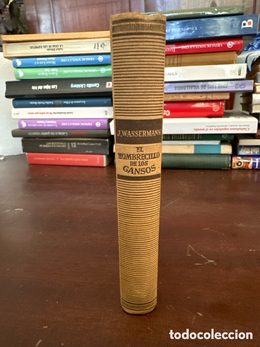 Libros de segunda mano: EL HOMBRECILLO DE LOS GANSOS. JACOB WASSERMANN. JOSE JANES EDITOR. BARCELONA, 1947. PAGS:468
