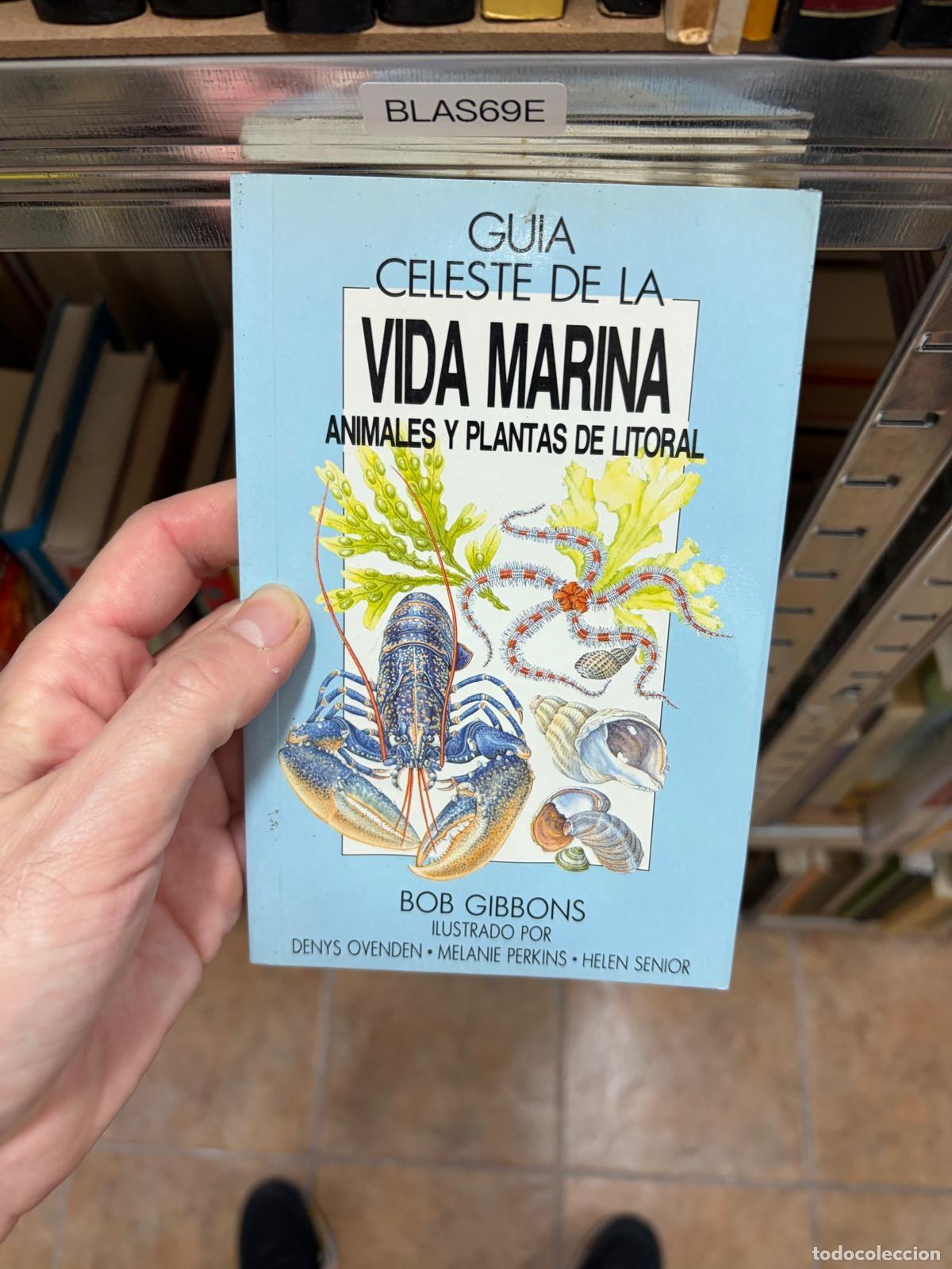 Libros de segunda mano: BLAS69E Bob Gibbons Gu&iacute;a celeste de la vida marina -