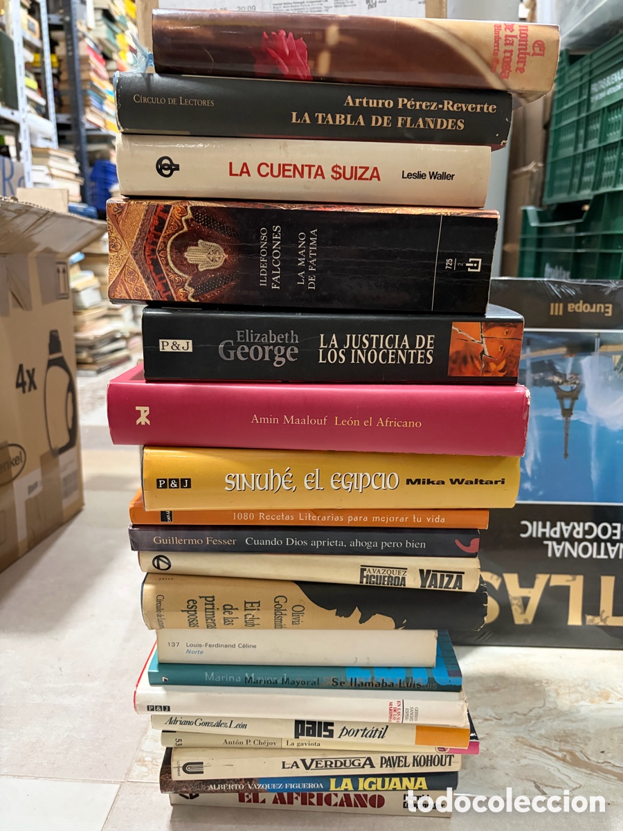 Libros de segunda mano: Lote (A) de 19 libros novelas en espa&ntilde;ol. Ildefonso falcones. Feser. Umberto eco. Chejov.