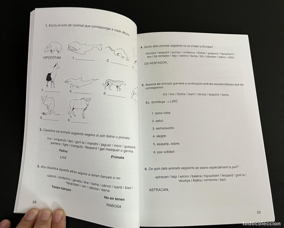 Libros de segunda mano: Libro L&egrave;xic 3 Edicions del Bullent - Foto 4