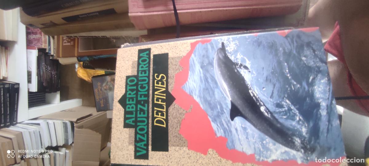 Libros de segunda mano: DELFINES - V&aacute;zquez Figueroa,Alberto