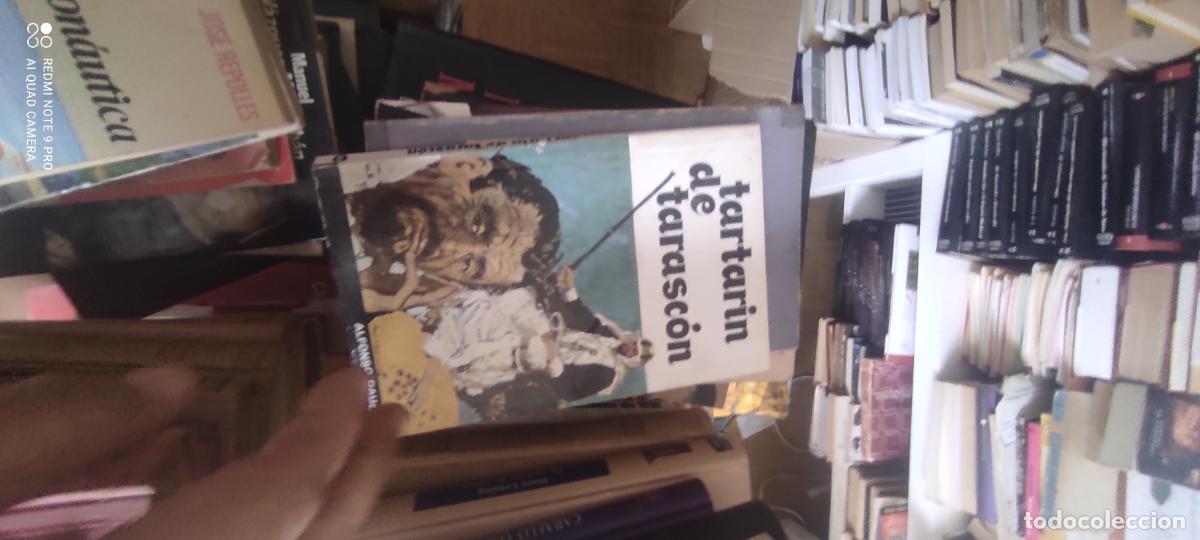 Libros de segunda mano: Tartar&iacute;n de Tarasc&oacute;n, Daudet