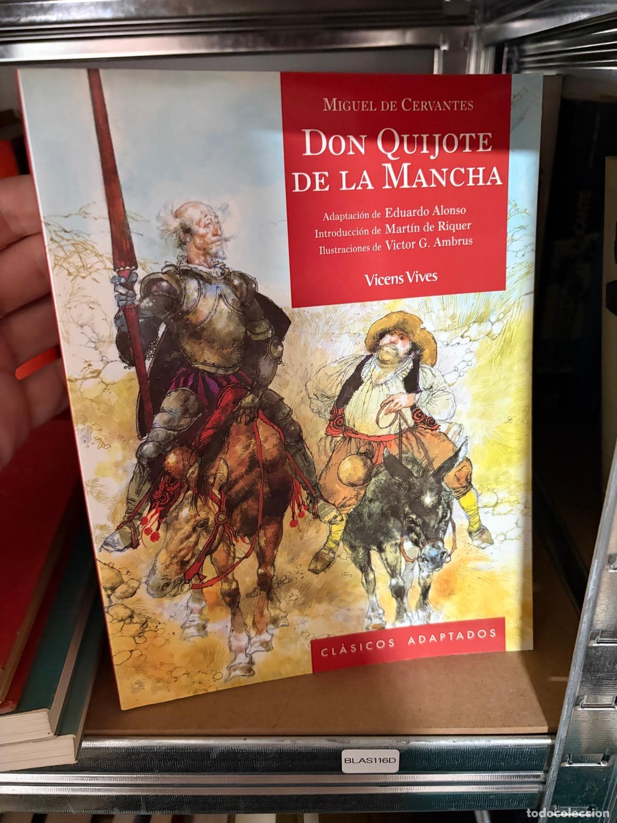 Libros de segunda mano: BLAS116D - Miguel de Cervantes - Don Quijote de la Mancha - Vicens Vives