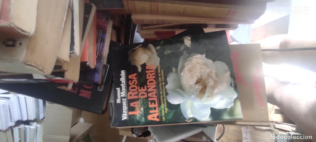 Libros de segunda mano: Vazquez Montalb&aacute;n, La rosa de Alejandr&iacute;a