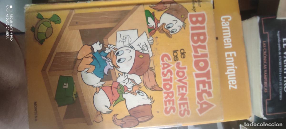Libros de segunda mano: biblioteca de los j&oacute;venes castores, n&ordm; 2 l