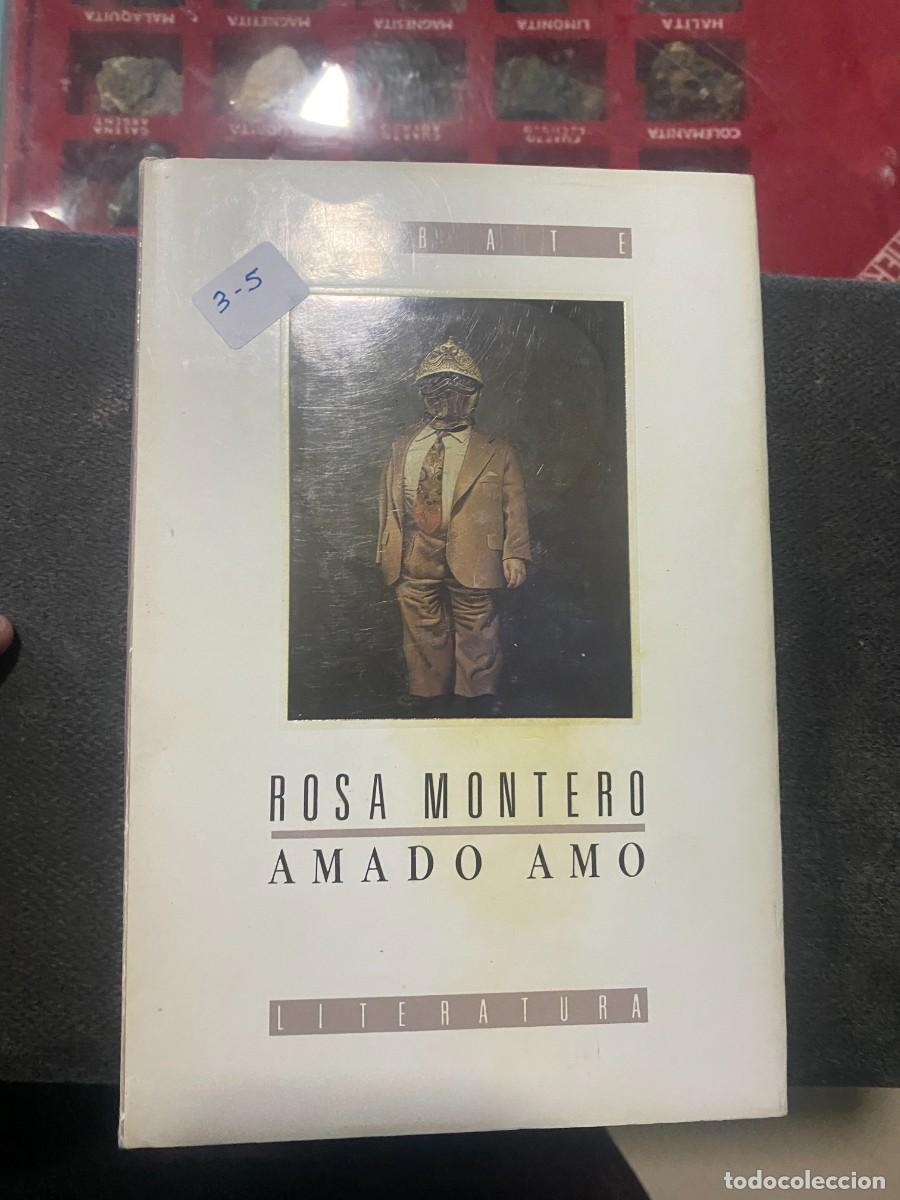 Libros de segunda mano: Amado amo - Rosa Montero libro usado - Foto 1