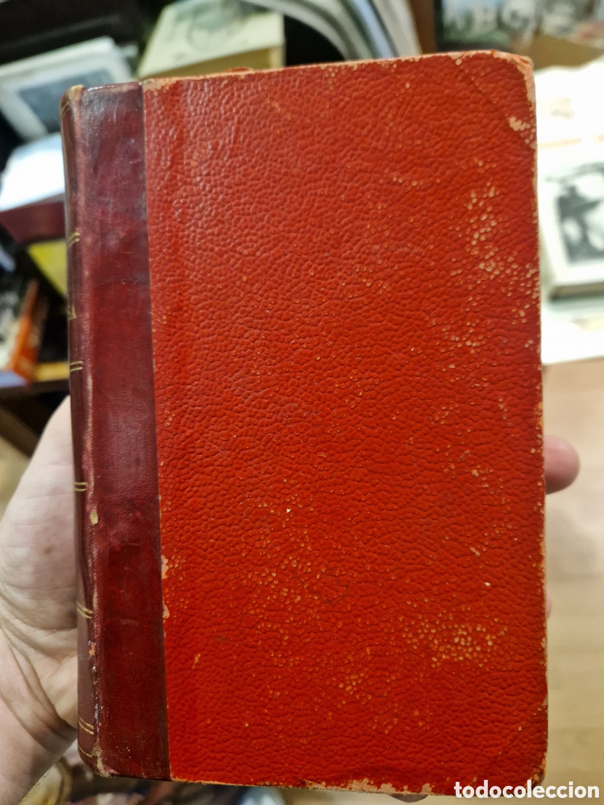 Second hand books: ACEBAL, Francisco. Dolorosa: Novela