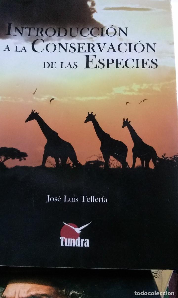 Libros de segunda mano: INTRODUCCION A LA CONSERVACION DE LAS ESPECIES , JOSE LUIS TELLERIA EDT. TUNDRA