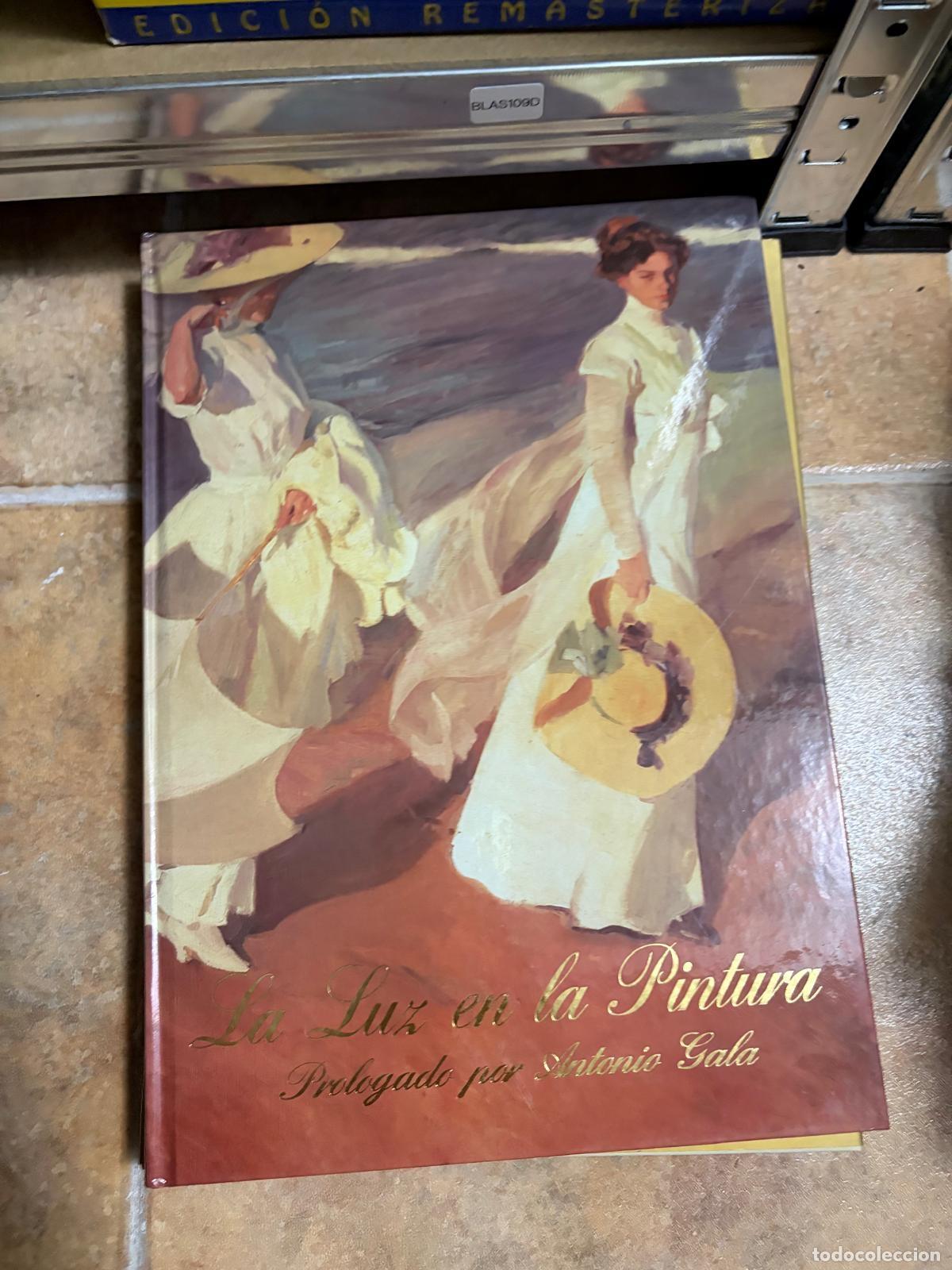 Libros de segunda mano: BLAS109D La luz en la pintura Antonio Gala