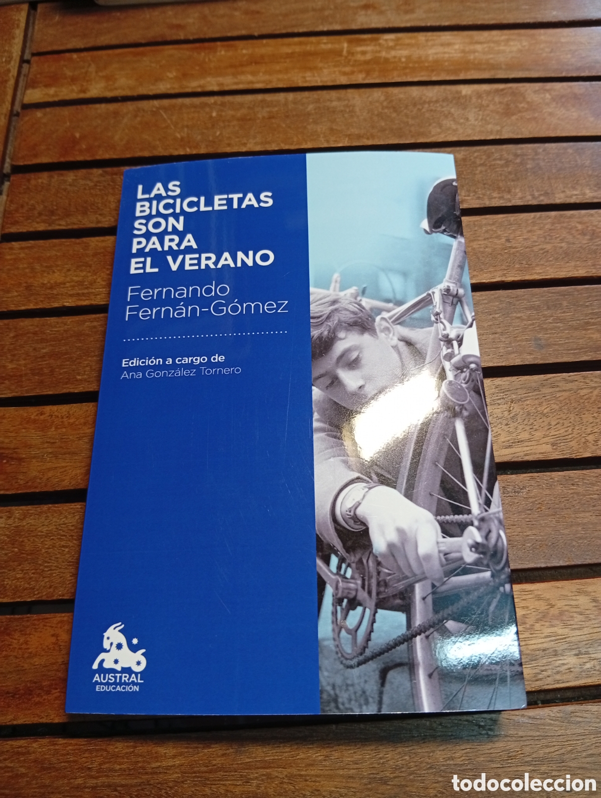 Libros de segunda mano: Las bicicletas son para el verano Fernando Fern&aacute;n G&oacute;mez austral educaci&oacute;n