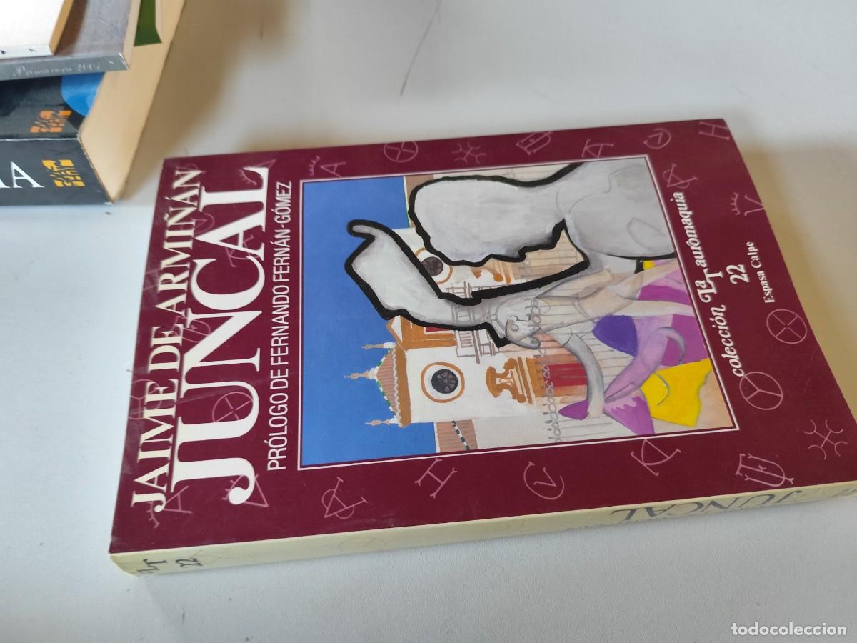 Libros de segunda mano: JUNCAL / JAIME DE ARMI&Ntilde;AN / TAUROMAQUIA-ESPASA CALPE / GV94