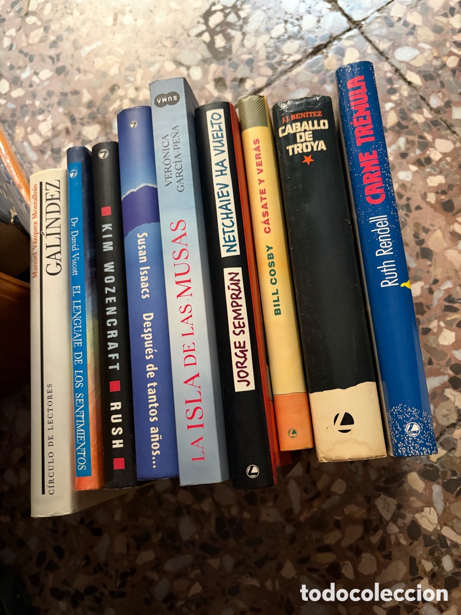 Libros de segunda mano: Lote de 9 novelas en espa&ntilde;ol ; V&aacute;zquez montalban Ruth rendell J. J. Ben&iacute;tez