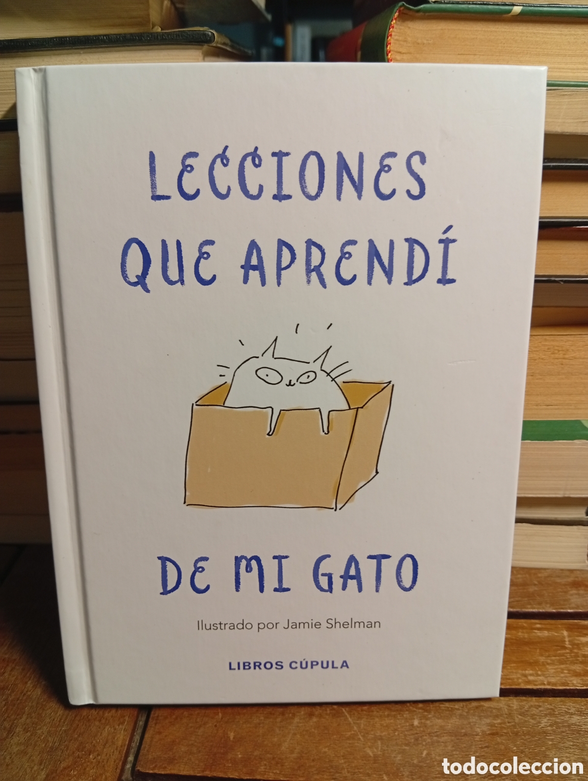 Libros de segunda mano: Lecciones que aprend&iacute; de mi gato libros c&uacute;pula