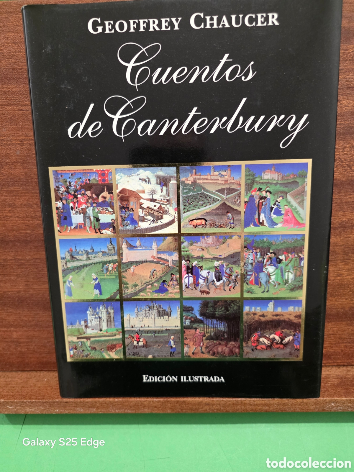 Libros de segunda mano: &rdquo;&rdquo;CUENTOS DE CANTERBURY&rdquo;&rdquo;...GEOFREY CHAUCER...EDICI&Oacute;N ILUSTRADA...EDITORIAL &Oacute;PTIMA...2002...