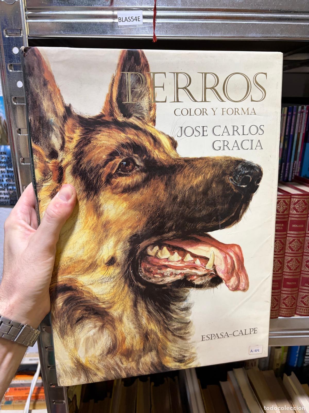 Libros de segunda mano: BLAS54E Perros: color y forma Jos&eacute; Carlos Gracia Espasa-Calpe