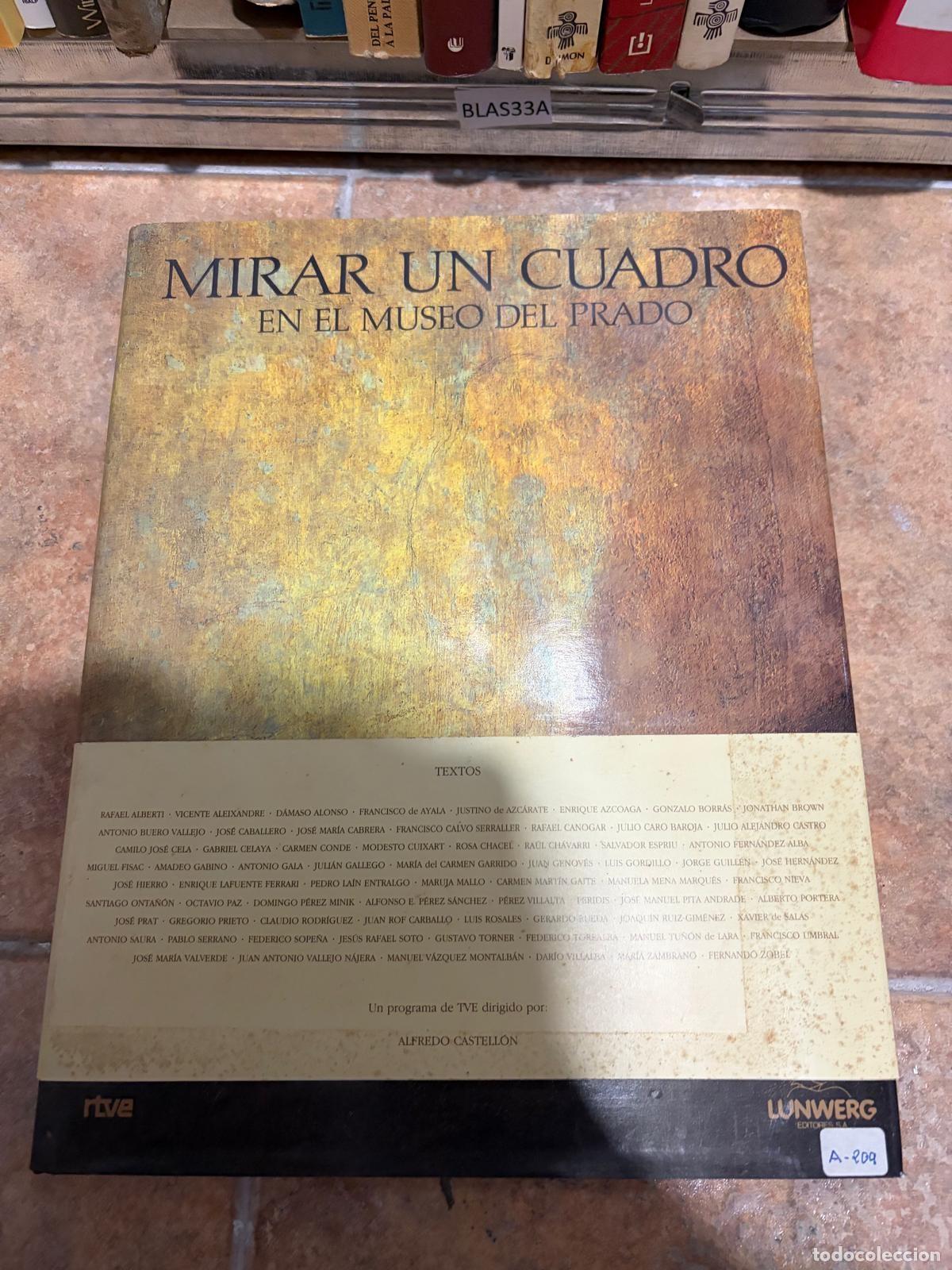 Libros de segunda mano: BLAS33A Mirar un cuadro en el Museo del Prado Alfredo Castell&oacute;n (direcci&oacute;n)