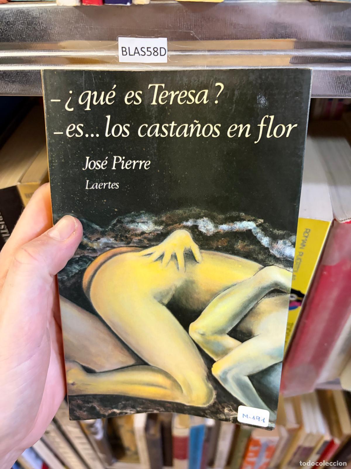 Libros de segunda mano: BLAS58D &iquest;Qu&eacute; es Teresa? Es&hellip; los casta&ntilde;os en flor Jos&eacute; Pierre Laertes