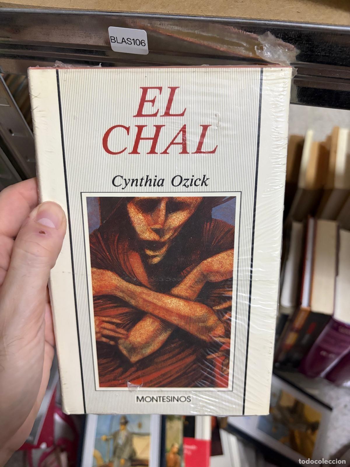 Libros de segunda mano: BLAS106 - Cynthia Ozick - El chal - Montesinos