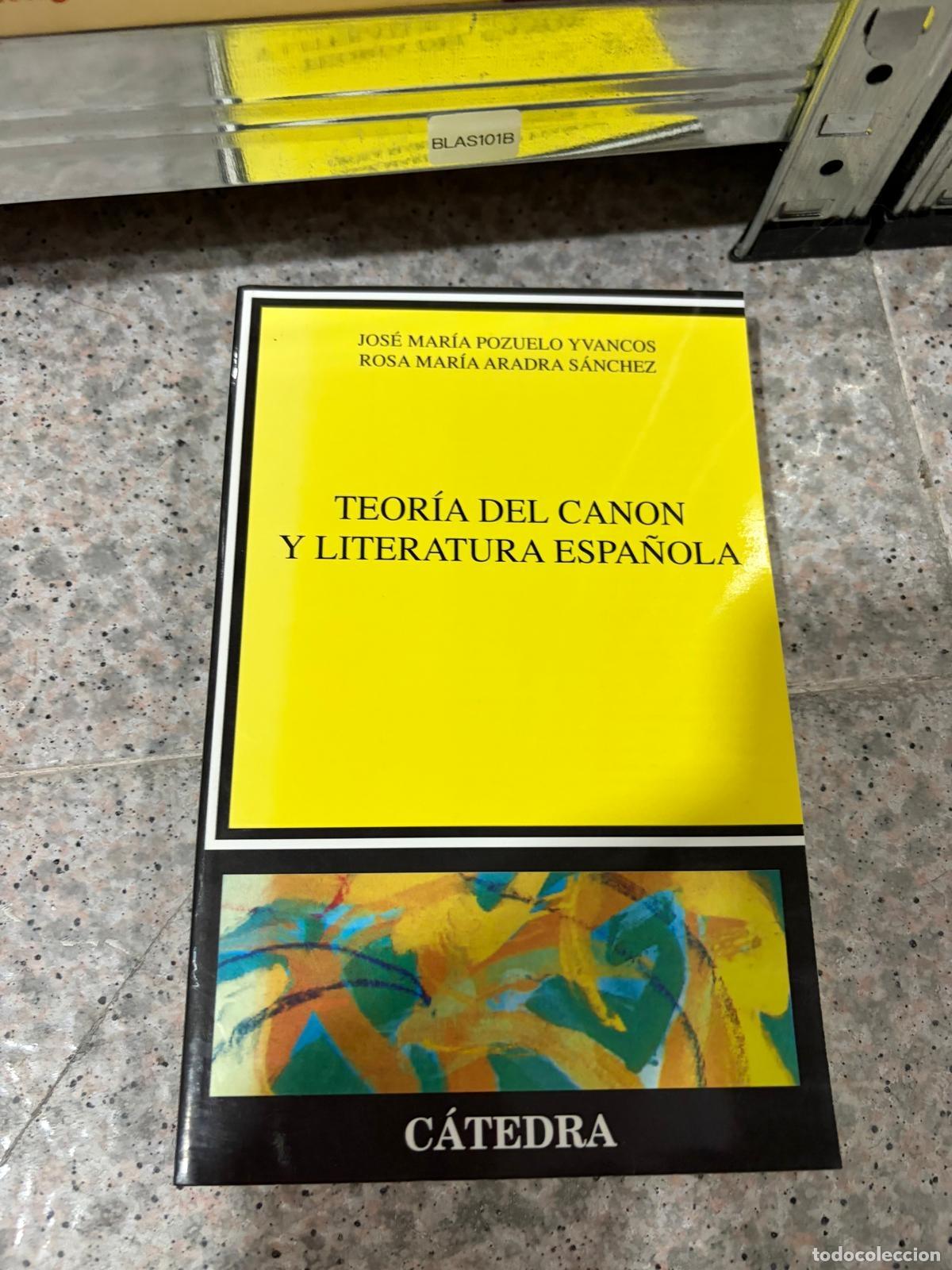 Libros de segunda mano: BLAS101B Pozuelo/Aradra Teor&iacute;a del canon y literatura espa&ntilde;ola C&aacute;tedra