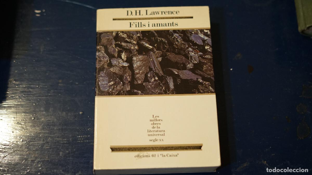 Libros de segunda mano: D. H. Lawrence - Fills i amants - Edicions 62