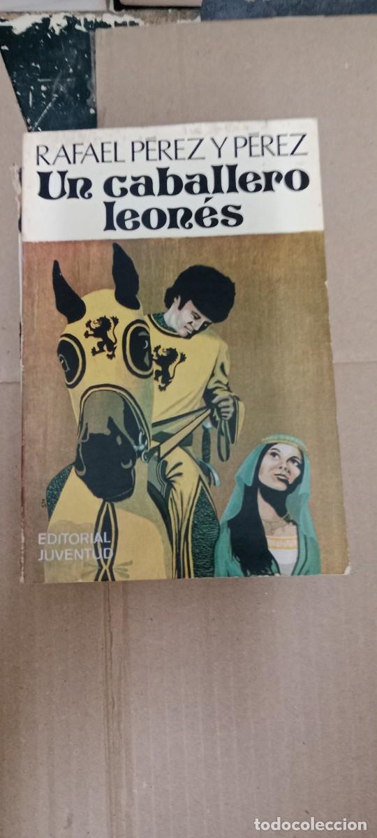Libros de segunda mano: UN CABALLERO LEONES RAFAEL PEREZ Y PEREZ LIBRO CC-MAZ